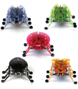 �����-����� ���