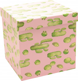 Коробка подарочная Кактусы (18,5x18,5x18,5 см)