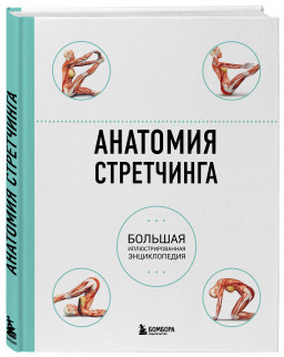 Анатомия стретчинга: Большая иллюстрированная энциклопедия