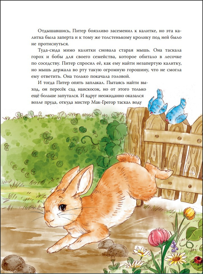 �����-������ � ������ (����������� ������ ������)