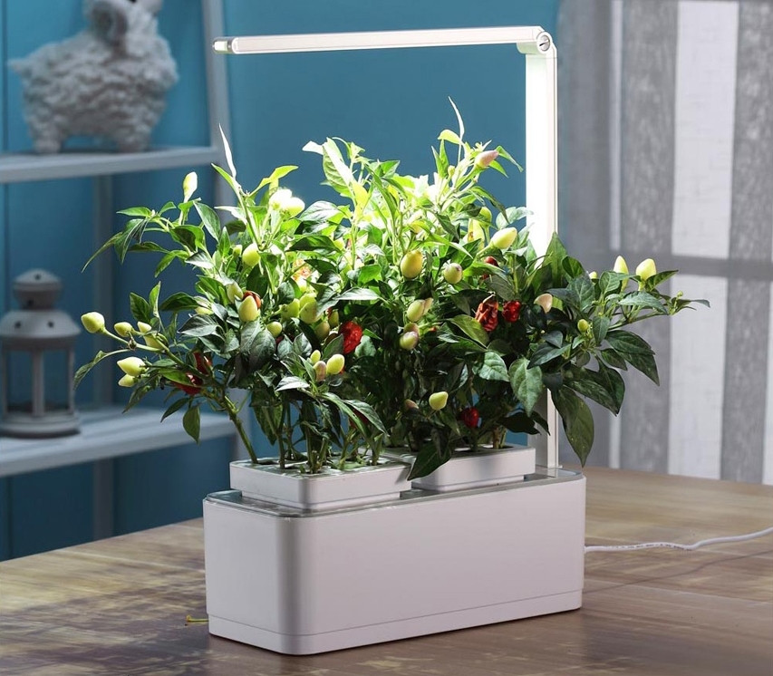 ���������� �����-��� iGarden LED (� ����������)