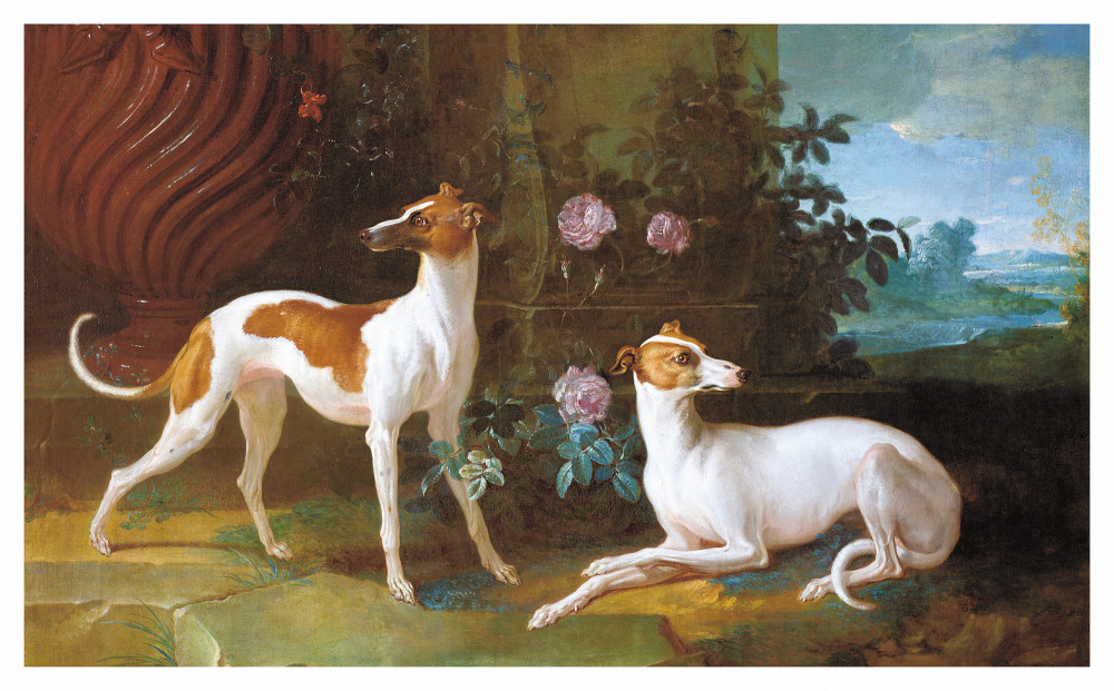 ����� ������ ������ � ������������� ��������� (����� ����������)