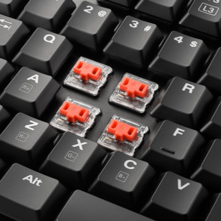 ���������� Sharkoon PureWriter TKL RGB Kailh Red ��������� ������� ��� PC (������� ���������)