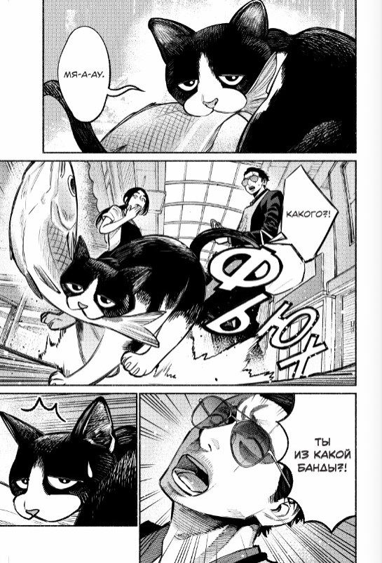 ����� ���� �����������. ��� 4