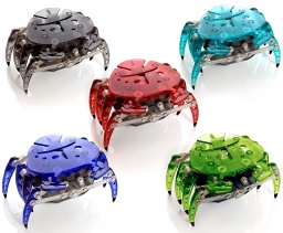 �����-�����  ����