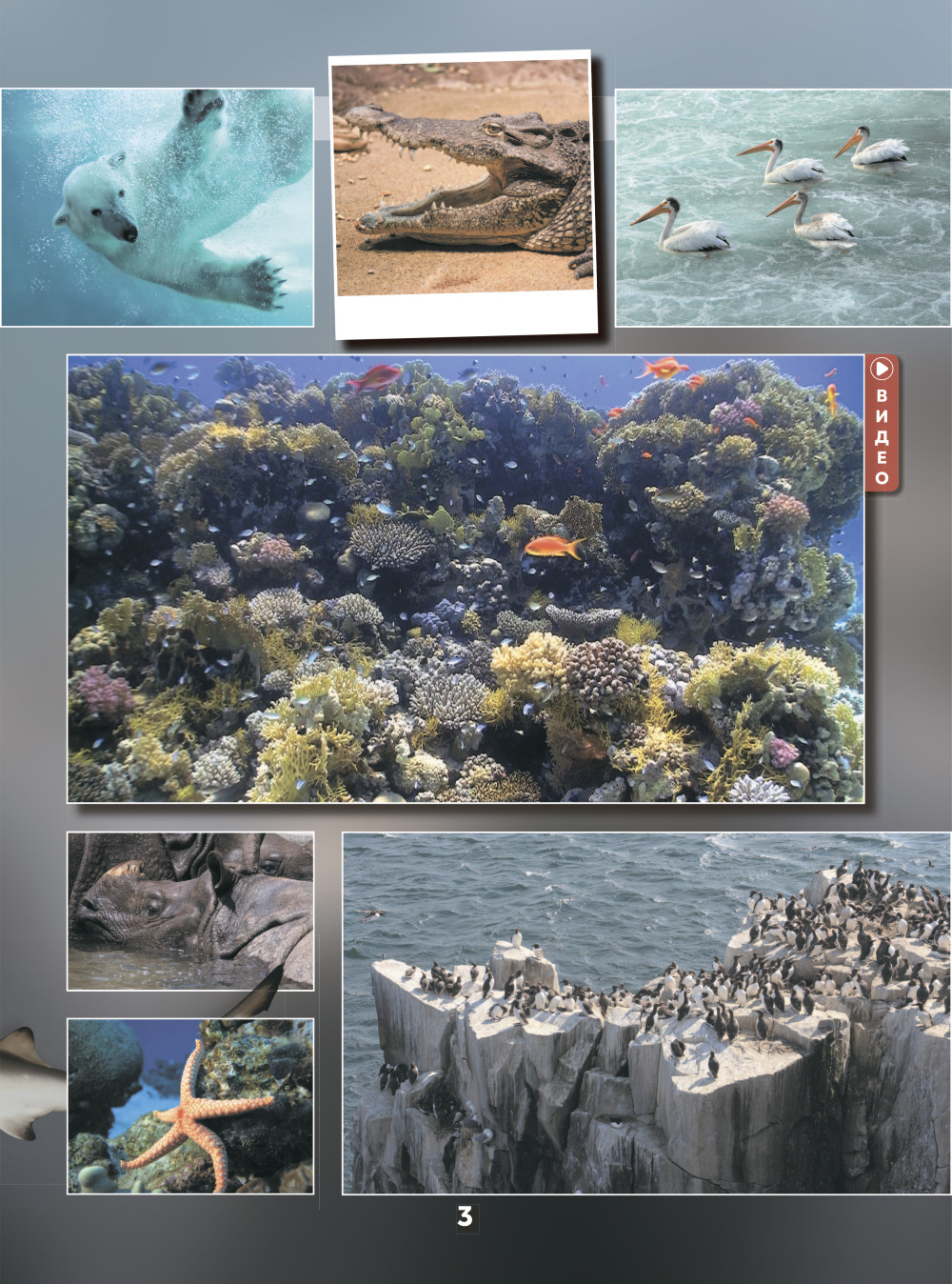 ��������� ���. 101 ����� � 1001 ����������