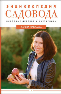 ������������ ��������: �������� ������� � ����������