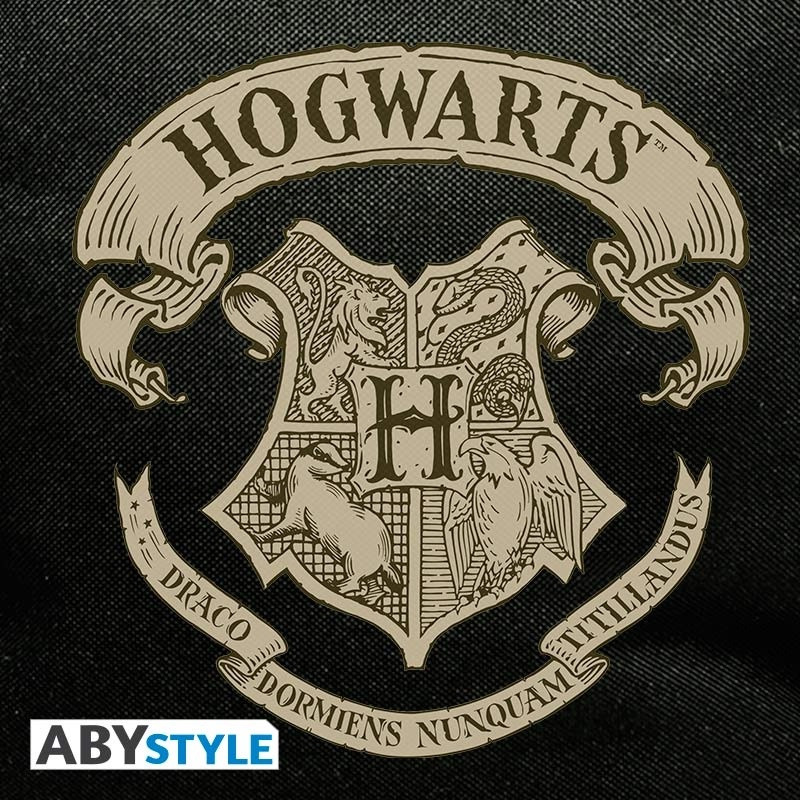  Harry Potter: Hogwarts