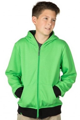   Minecraft. Creeper Anatomy () (XL)