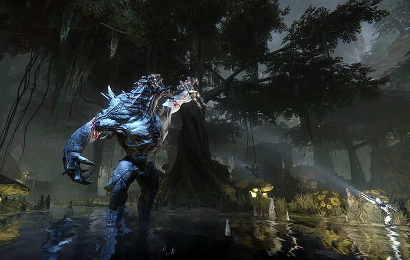  Evolve.      [PC,  ]