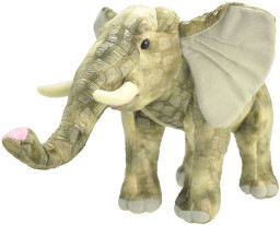 ������ ������� ���� (20 ��)