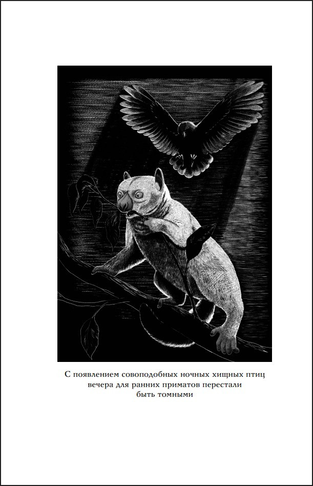 ������ �����: ���������, �������������, ������������� � ������ �������