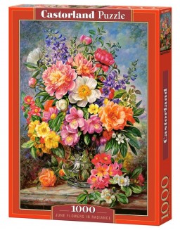 Puzzle-500:    (June Flowers in Radiance)