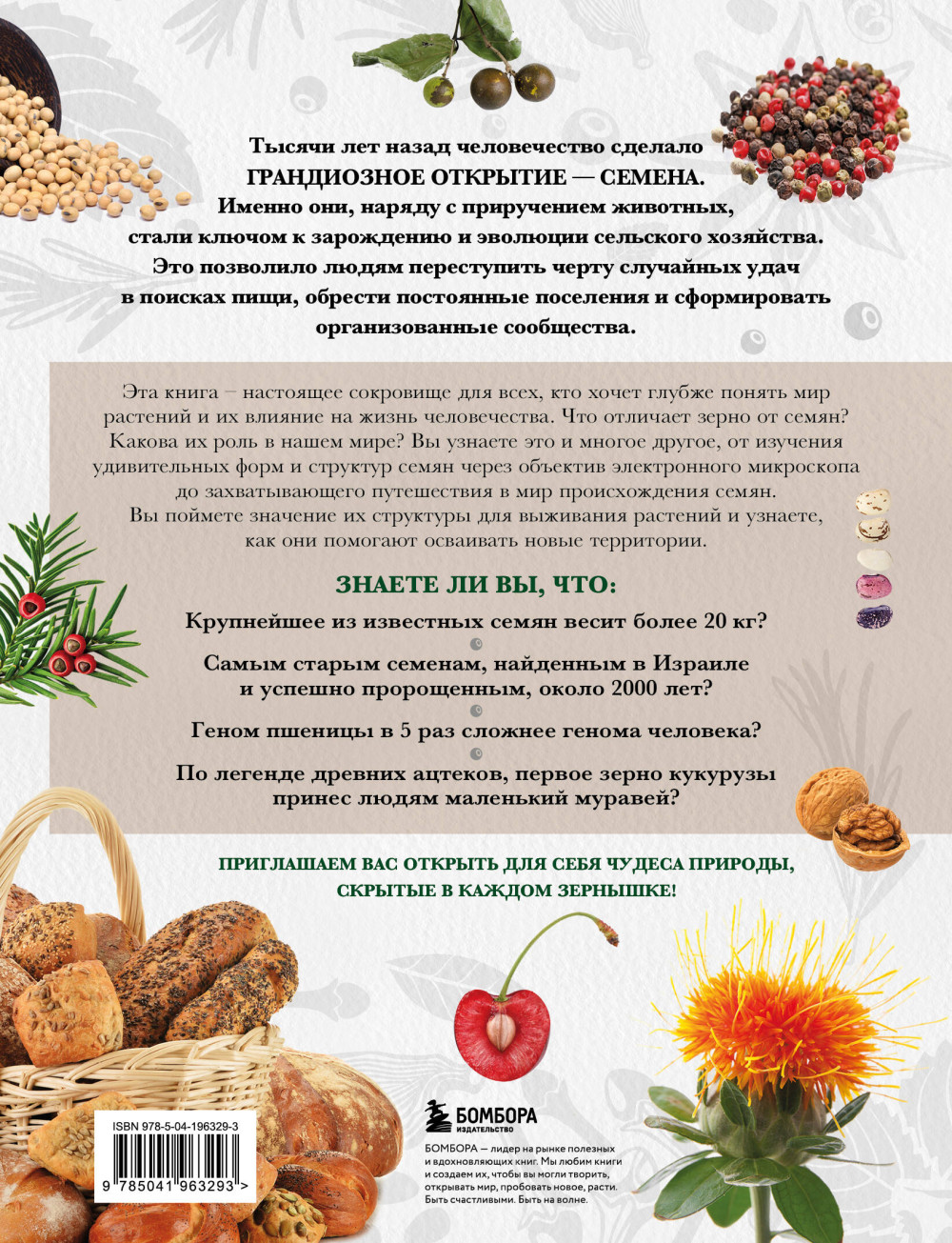 ������ � �����: ���������������� ����� � ������������ ����� � �������������������� ���������