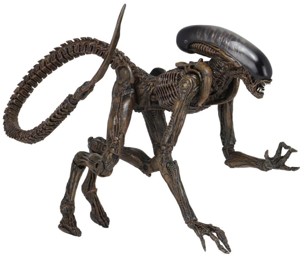  NECA: Aliens Series 3  Ultimate Dog Alien (18 )