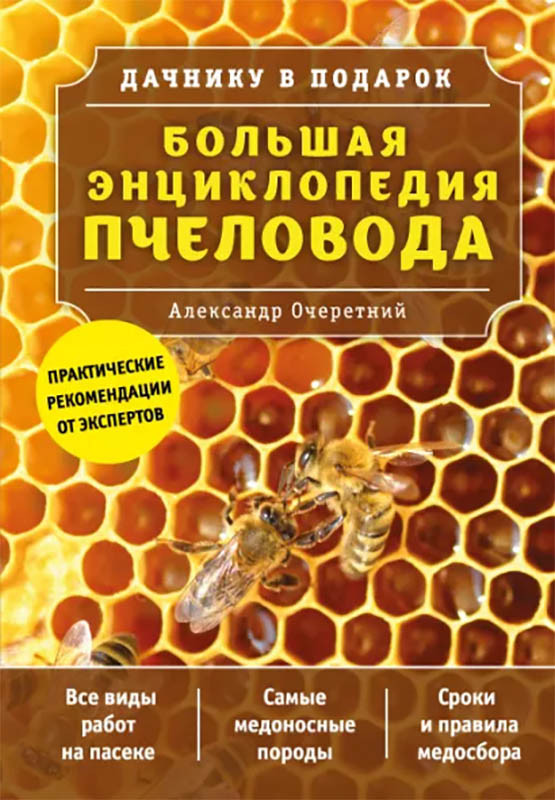 ����� ������� ������������ ���������. ��������� ��������� + ��������� Chainsaw Man