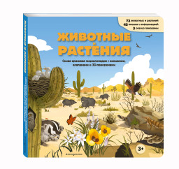 �������� � ��������: ����� �������� ������������ � ��������, ��������� � 3D-����������