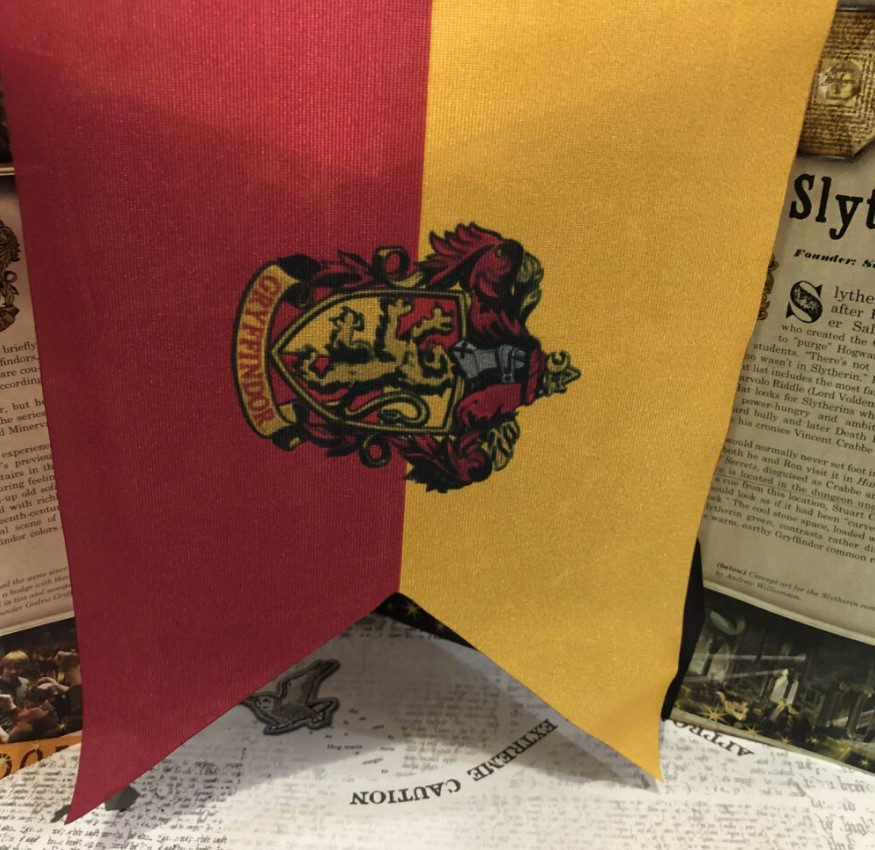 ���� Harry Potter: Gryffindor