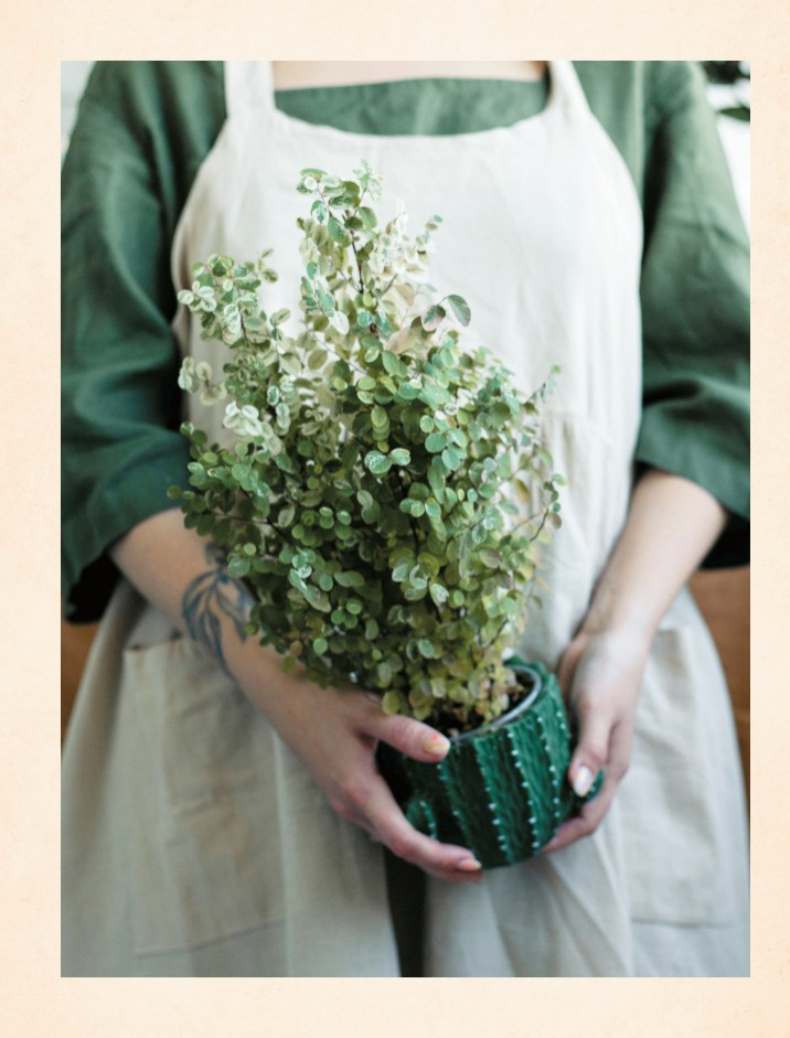 ������� ��������� ��������: � ��� ������ �������� � ��� ������, ��� �� ����� �� ����� ����