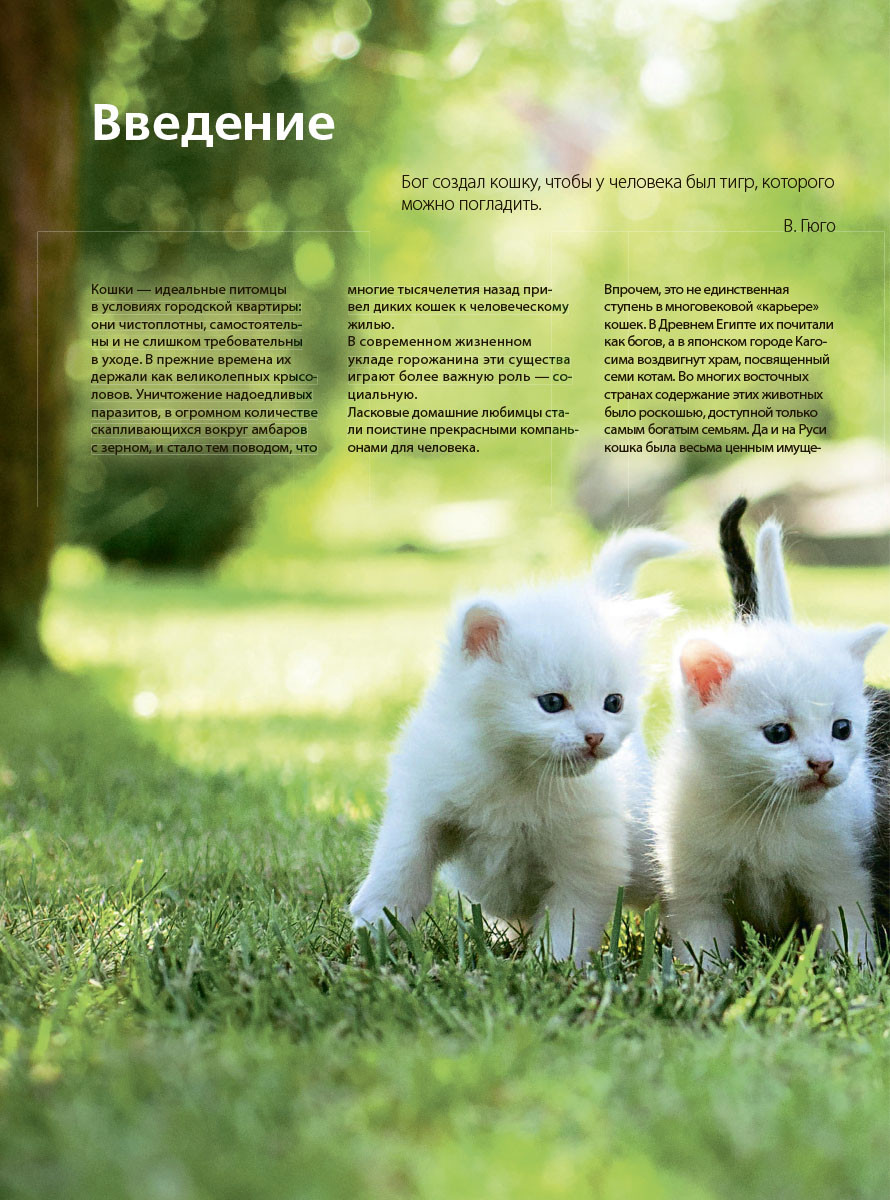Кошки: Самая полная иллюстрированная энциклопедия