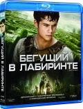    (Blu-ray)