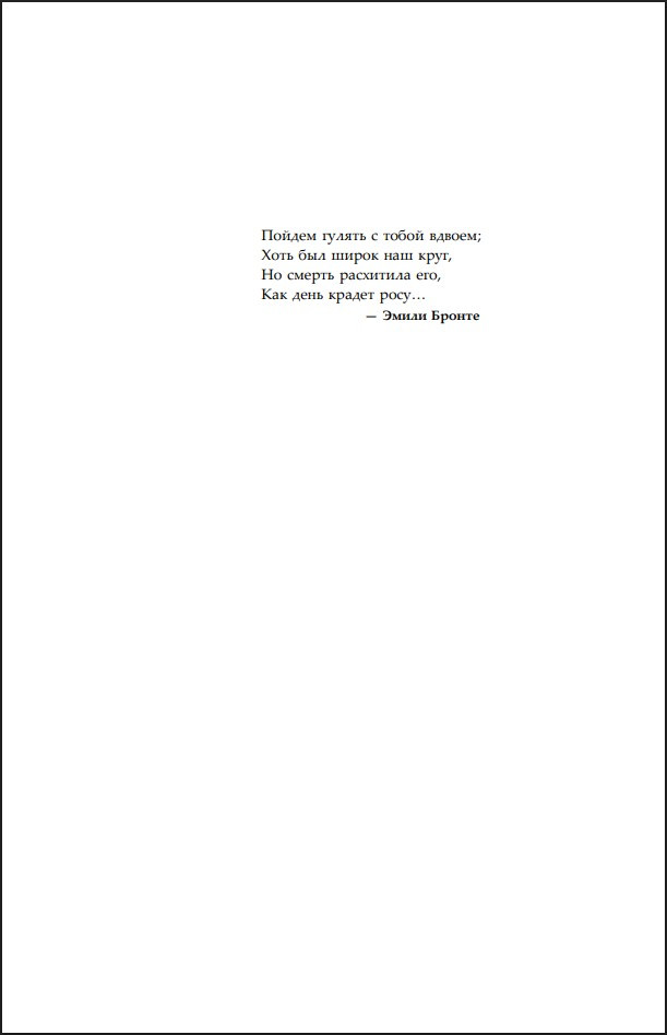 ������ ����� �����