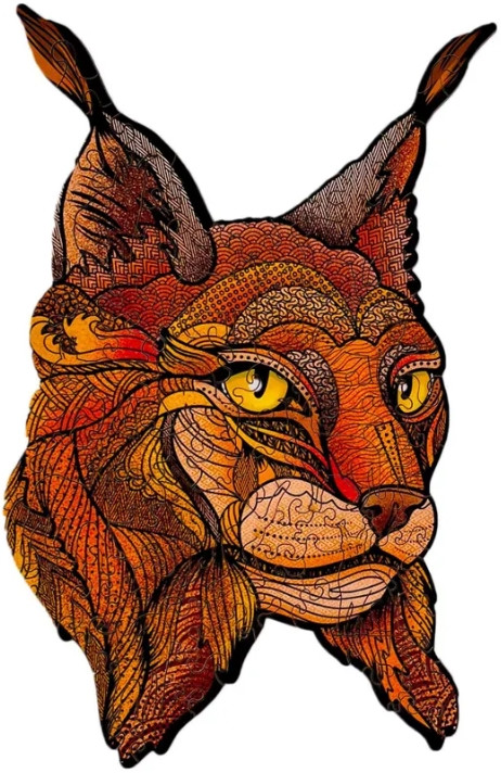 ���� Dream Woods �������� � ���� (92 ������)