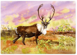 ���� Wooden Puzzles: ����� �������� �����