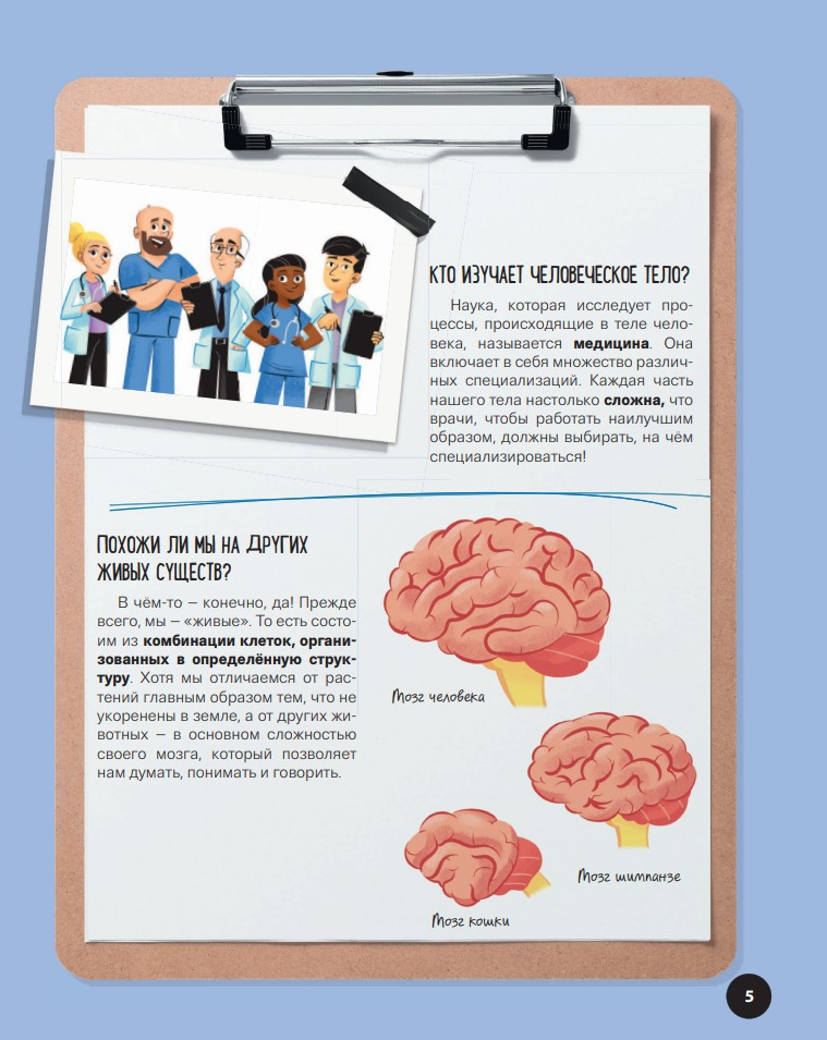 ���? ���? ������? ��� ������ ������ ��� ���� �������� (� ��������)