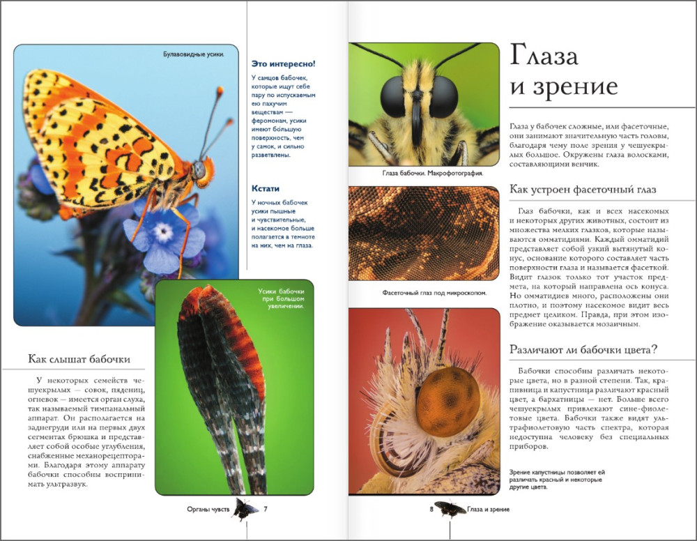 �������: ���������������� ���