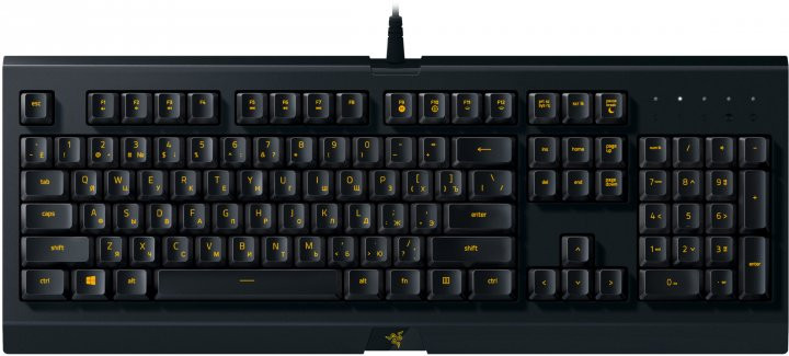 Клавиатура Razer Cynosa Lite Russian Layout игровая для PC (RZ03-02741500-R3R1)