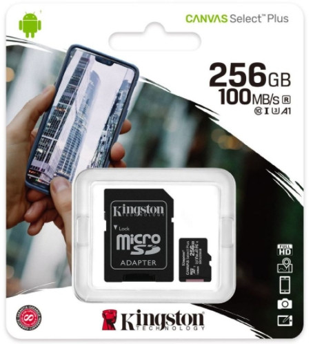 Карта памяти Kingston Canvas Select Plus microSDHC 256GB (SDCS2/256GB)