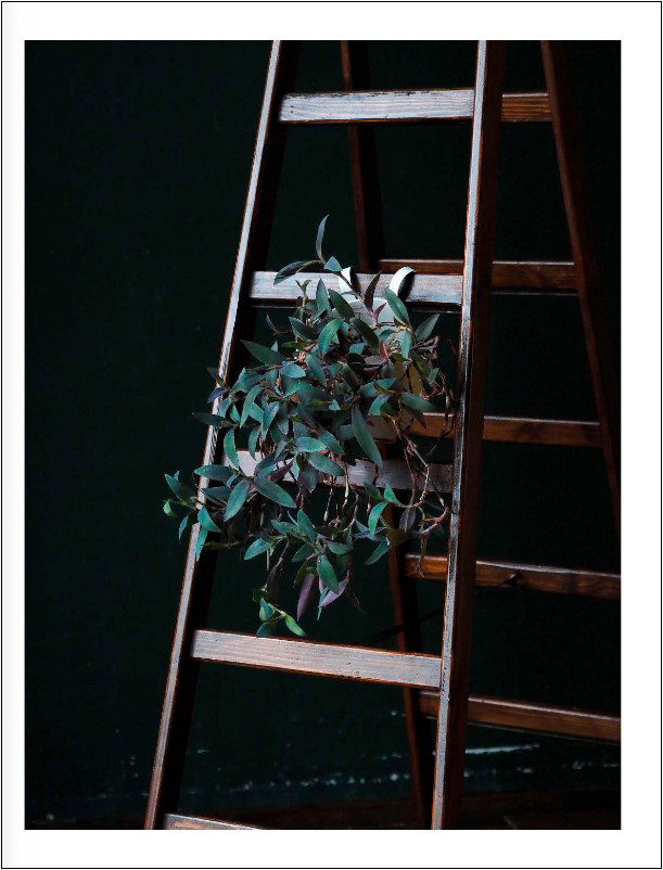 �������� � �������: ��������� �������� ��� �������� ������� ������ ����