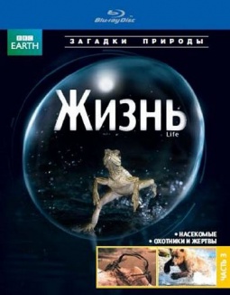 BBC: . 3 (Blu-ray)
