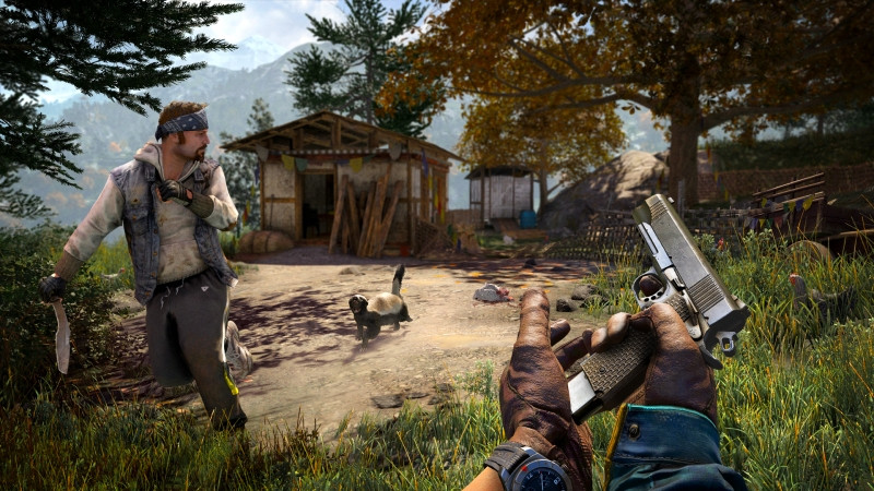 Far Cry 4.   [PS3]