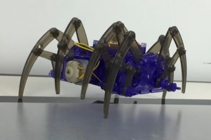 ����������� �����-����