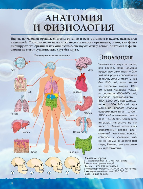 ������� ����� 4D: ���� ��������