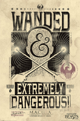 Fantastic Beasts  Extremely Dangerous