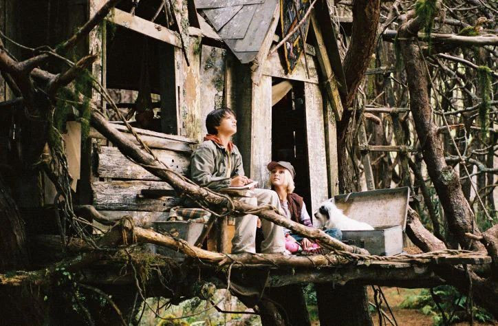 ���� � ��������� (������������ �������) (DVD)