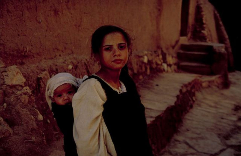 BBC: ���������� �������. ���� �����. ������. ���� ������ (3�DVD)