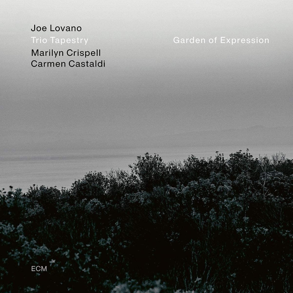 LOVANO JOE  TRIO TAPESTRY  Garden Of Expression  LP +   LP Brush It 