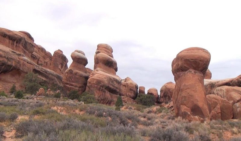 -  3D.       (Blu-ray 3D + 2D)