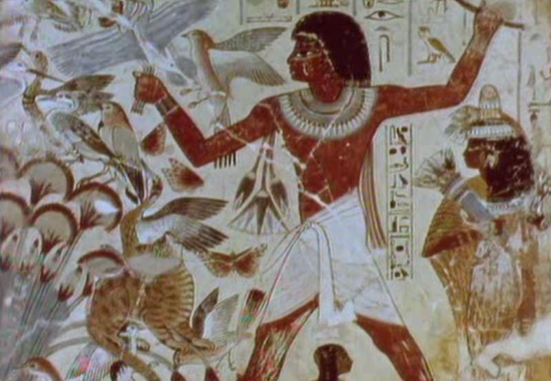 BBC: ��������� ������� �������� (3 DVD)