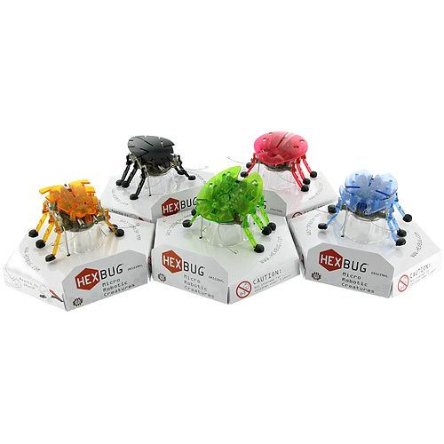 �����-����� ���