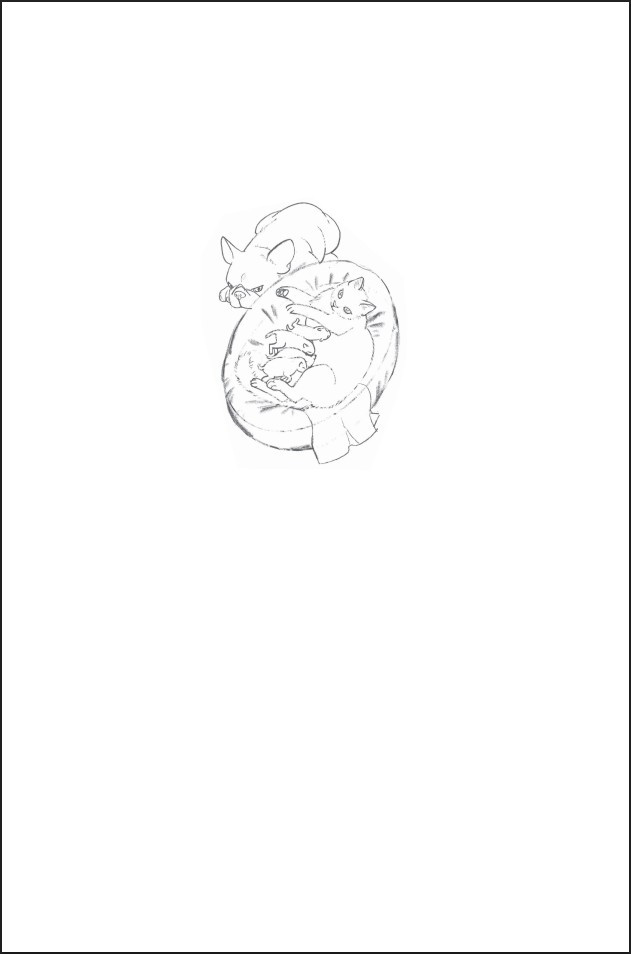 ��������� ��� ������