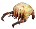   Half-Life Head Crab (15 )