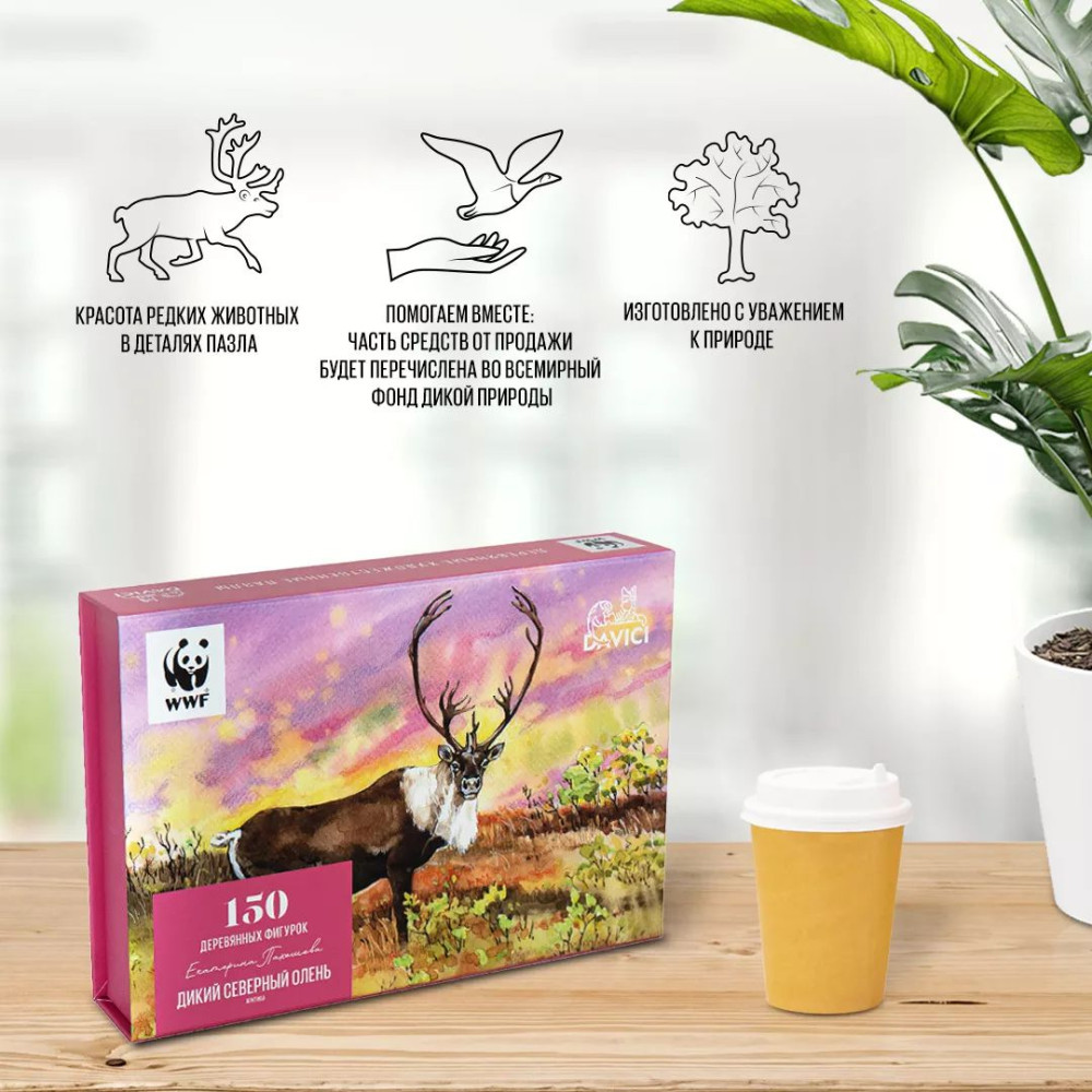 ���� Wooden Puzzles: ����� �������� �����