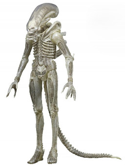  NECA Scale Action Figure: Alien  The Alien Prototype Suit Alien 40th Anniversary (17 )