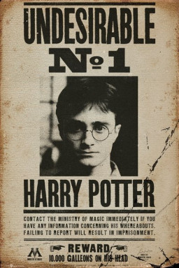  Harry Potter: Undesirable No 1