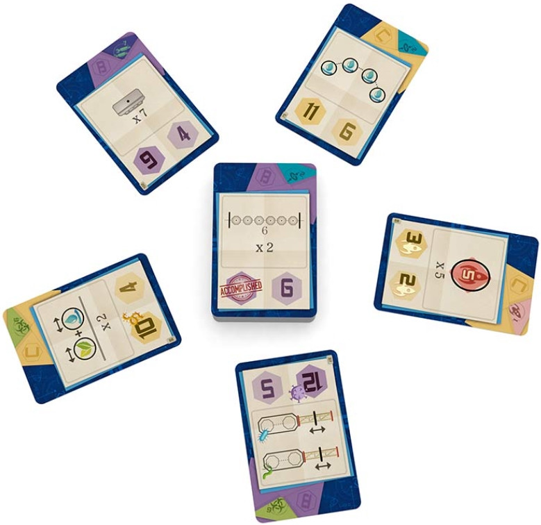 ���������� ���� ����� ���������� �� ����